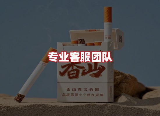 专业团队